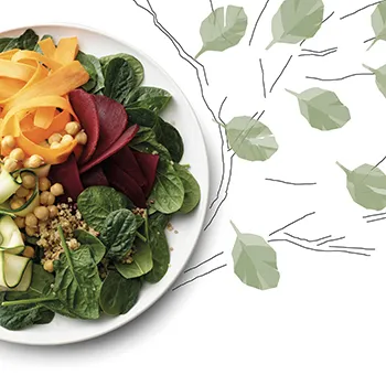 committments_developper_offre_vegetale