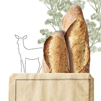 committments_reduire_impact_de_nos_packagings