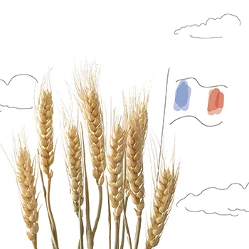 committments_selection_francaise